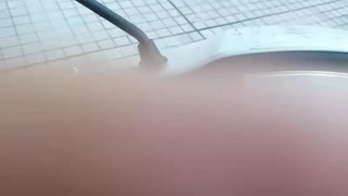 maku散歩　買い物行く