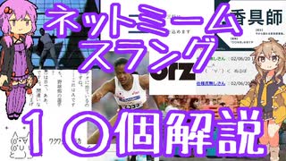 今さら人に聞けないネットのネタ解説その30【2ch特別編】
