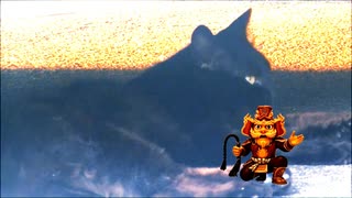 黒猫と強い日差しと夏将軍 #NHKお天気キャラクター夏将軍