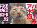 事件再来⁉︎からあげ珍獣の保護に再度挑む
