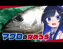 【双葉湊音】マグロってなめろうにしたらめちゃくちゃうまいのでは！？【はらへりふたば】