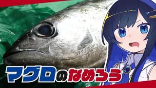 【双葉湊音】マグロってなめろうにしたらめちゃくちゃうまいのでは！？【はらへりふたば】