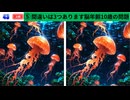 【！脳トレ+育脳に最適☆まちがい探しタイム！ 】＃229
