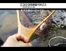【2018･6･15】中禅寺湖セミパティーン【コラボ】