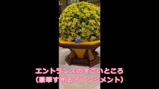 2025年4月27日の思い出（宙組大千秋楽）