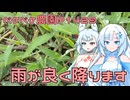 2025年7月22日　農作業日誌P1429　家庭菜園が草原になりかけていたので土寄せがてらに耕したよ