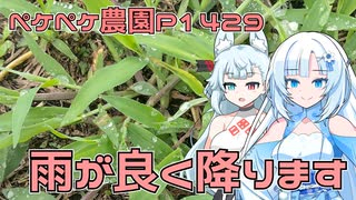 2025年7月22日　農作業日誌P1429　家庭菜園が草原になりかけていたので土寄せがてらに耕したよ