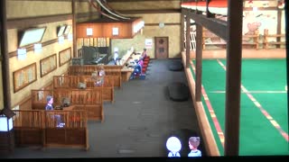 ポケットモンスタースカーレット伝説究極縛り実況動画１５