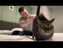 猫のおしりを叩くと・・・②