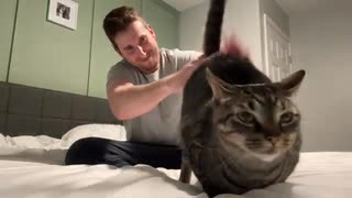 猫のおしりを叩くと・・・②