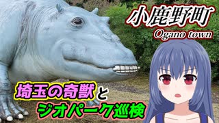 “秩父の海”で地学実習をしてきました！【秩父ジオアドベンチャー[小鹿野]編/巻野石リア お出かけブログ】