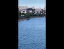 かわしまVlog  みなとみらい編  前編