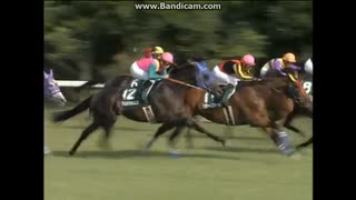 2008 関屋記念 (GIII)　マルカシェンク