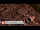 【ファイアーエムブレム無双】【リョナ】【セリカ】 ペガサスナイトにやられるだけPart１４