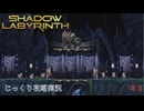 【SHADOW LABYRINTH】第5回　大樹を抜けろ　じっくり攻略実況　シャドウラビリンス