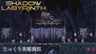 【SHADOW LABYRINTH】第5回　大樹を抜けろ　じっくり攻略実況　シャドウラビリンス