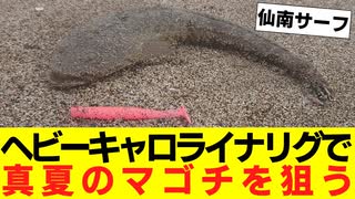 【ルアー】ヘビーキャロライナリグで真夏のマゴチを狙う【VOICEROIDフィッシング】