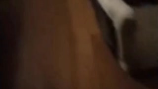 【VPN匿名化ニートの日常】雑魚のみんな♡俺の実家を特定できるかな？