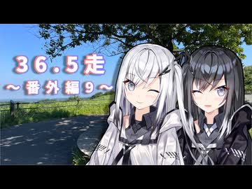 クロ目の旅　思いつき探訪禄　36.5走～番外編9～