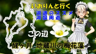 湖道のススメ～醒ヶ井 地蔵川の梅花藻～湖国周遊026