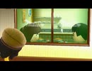 社会不適合者、また無人島で一人暮らしをする part11【トモダチコレクション新生活】