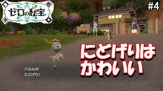 かわいさで圧倒するゼロの秘宝#4