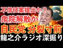 石破降ろし加速！党内リコール、野党不信任、国民の怒り…【龍之介ラジオ深掘り】石破茂首相を即時退陣に追い込むための国民と議会の選択肢とは？【龍之介チャンネル】