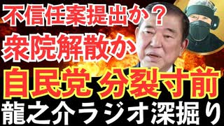 石破降ろし加速！党内リコール、野党不信任、国民の怒り…【龍之介ラジオ深掘り】石破茂首相を即時退陣に追い込むための国民と議会の選択肢とは？【龍之介チャンネル】