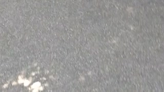箱根神社奥の駐車場から歩きで箱根神社宝物殿に行く