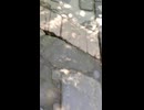 箱根神社の長い参道の長い階段・キツイ階段・きつすぎる階段