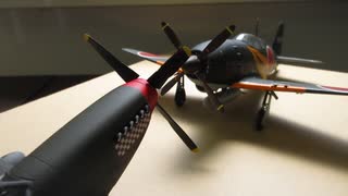 P-51B MUSTANG 1/48 TAMIYA &  雷電　1/48 TAMIYA