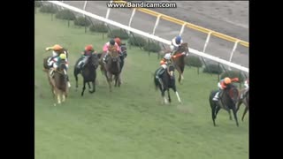 2010 関屋記念 (GIII)　レッツゴーキリシマ