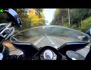 【おったんバイク復活プロジェクト】SUZUKI SV1000S