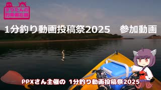 【1分釣り動画投稿祭2025】きりたんの釣果備忘録 　番外編