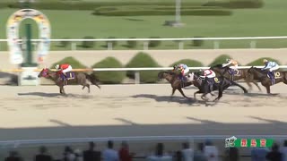 ＪＲＡ交流 第29回霧島賞(九州産) ルピナステソーロ