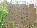 ここは(2号.) 歌ってみた