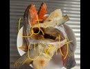 国産　ジャケ　シャケ　塩して　焼いてみた