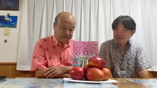 【会員さん限定】99.9%が知らない宮古島
