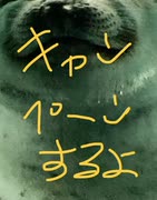 とりま　トリマ　魚くじ　抽選　結果