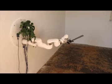 ホモと見る生体電気信号で動く機械を取り付けられた植物