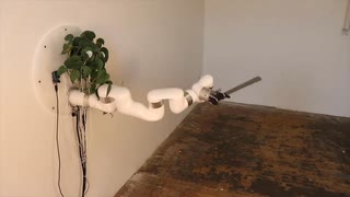 ホモと見る生体電気信号で動く機械を取り付けられた植物