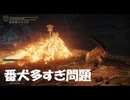 #176【ELDEN RING】還樹の番犬って何体いるのよ！【エルデンリング初見実況】