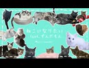 ねこになりたい / yamcha feat.ずんだもん