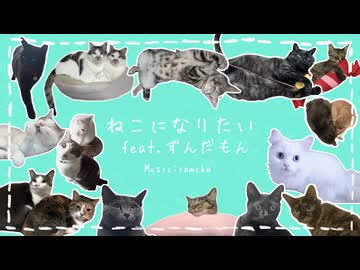ねこになりたい / yamcha feat.ずんだもん