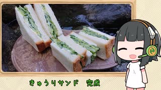 京町セイカのきぶんはキャンプ飯　#2「きゅうりサンド」