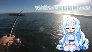 【VOICEROIDフィッシング】1分釣り動画投稿祭2025…やってない？【フカセ釣り】