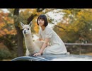 「車の上にアルパカ」MV AI生成動画
