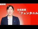 害虫左翼と似非保守の国　　朝鮮人とクルド人が調子に乗りまくっているのに逮捕しない無能警察　今頃になって不法移民だの犯罪外国人だの言い出した売国自民　　トランプ関税と安倍暗殺の真相