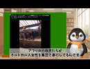 川口クルドによる小学生暴行でも難民擁護の既成政党、自公政権の地獄の政策 ペンギンch 気になるニュース