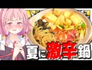 【汗】真夏に食べる辛い鍋がサウナ過ぎて毛穴ビンビン！【VOICEROIDキッチン＋生声】